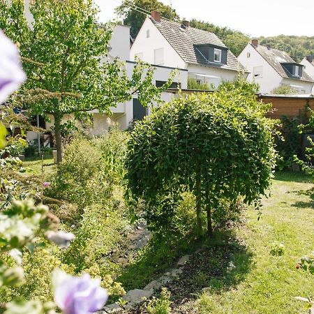 Ferienwohnung Am Breyer Talbach Экстерьер фото